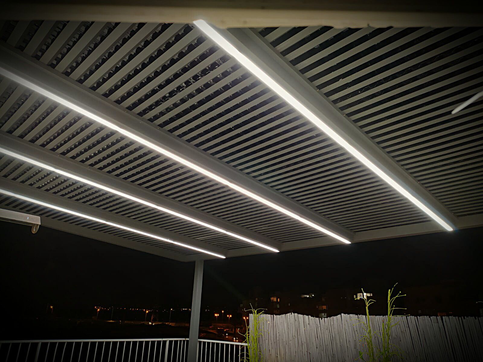 WhatsApp Image 2026-01-13 at 13.55.33