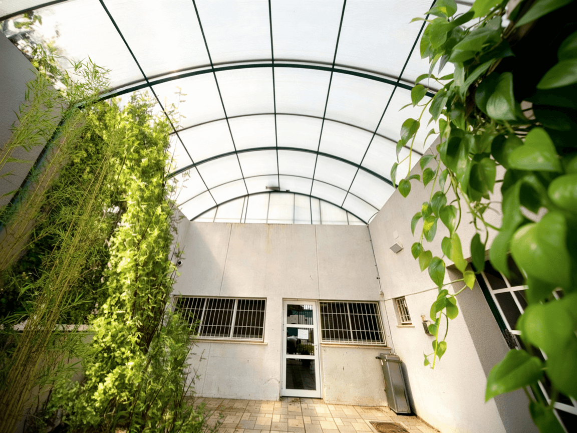 freepik__-__91242 (1)